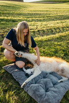Lerne Deinem Hund das Decken-Kommando