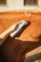 Mietgerät: Vetcare Photizio (Lichttherapie)