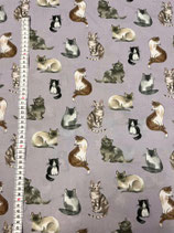 Cats auf graulila - 100% Baumwolle Druck - Breite 145 cm - 110 g/m²