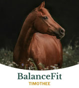 Balancefit Timothee