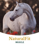 NaturalFit Muscle