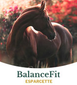 Balancefit Esparcette
