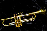 【委託品】Bencmark Trumpet YB529M"Xylem"Custom Order.