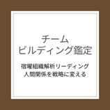 チームビルディング鑑定　―人間関係の構造診断―