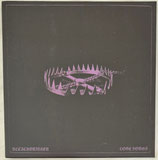 BLEACHDRINKER  " LOVE SONGS  "                                                  LP