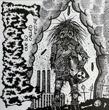 PSYKOOSI  " OUR SO CALLED FUTURE  "                                               LP