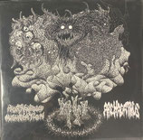 ARCHAGATHUS / HORRENDOUS MISCREATION                      SPL LP