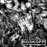 SICK DESTROYER / ROSKOPP                                             SPL 7"