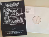 CONVULSIONS   "GRINDCORE NOT WAR  "                                      LP