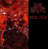 METH DRINKER / MOLOCH                                                    SPL LP