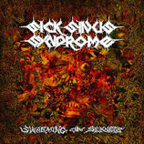 SICK SINUS SYNDROM   " SWARMING OF SICKNESS "                             LP