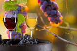 WINE TOUR WITH FOOD&WINE TASTING