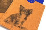 Chihuahua lg & kurz