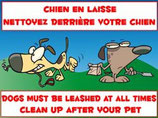 Chiens en laisse nettoyer derrière lui