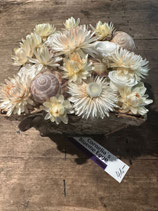 Getrocknete Blumen im Birkentopf mit Schneggenhaus
