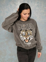 Pullover Tiger