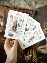 Artprint Karte A6
