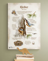 Poster A2 (Auf Vorbestellung - bald erhältlich!)