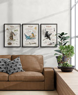Premium Fineartprint A3