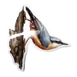 Sticker transparent