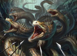 Hydra