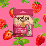 Strawberry Dog-Quiri Dental Bites