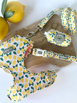 Squeezy Lemon