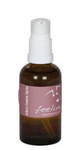 Arthro Gelenkspray 50ml