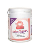 Amino Support 300g