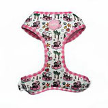 Lazy Flamingo
