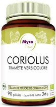 Coriolus - 90 Kapseln