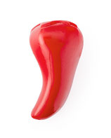 PlanetDog Foodies Chilli