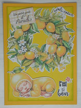 Carte "Citron"