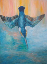 Eisvogel  Nr.17