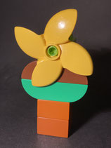 Duplo Windrad