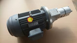 Hydraulikaggregat - Elektromotor mit Flansch und Tandempumpe