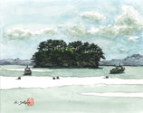 佐藤 孝一 No.17「松島 経ヶ島」