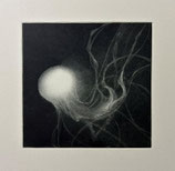 真栄城理子 No.3「algol」