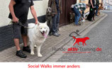Social Walks immer anders