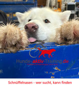 Schnüffelnasen - Wer sucht, kann finden