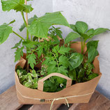Mamas Kräuter und Gemüsegarten