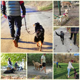 Alltagstraining / Social Walk