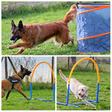 Hoopers Agility - Anfänger