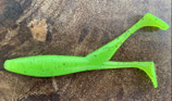 Kiwi 18 cm -1 Stück