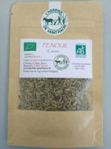 Fenouil, graines séchées pour la cuisine
