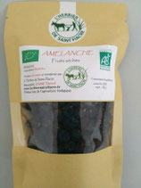 Amélanche, fruits séchés, bonbons ou cuisine