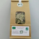 Achillée millefeuille, fleurs séchées