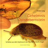 Geheimnis Ostseebernstein
