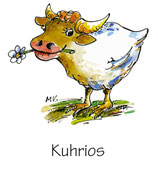 Postkartenserie "Kuhrios"