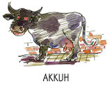 Postkarte "Akkuh"